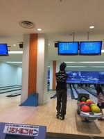 image-6d493.jpg