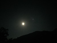 image-75206.jpg