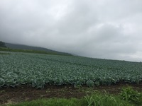 image-75863.jpeg