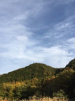 image-8584d.jpg