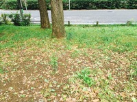 image-8957d.jpeg