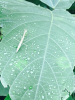 image-8bb46.jpg