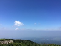 image-a5bfe.jpg