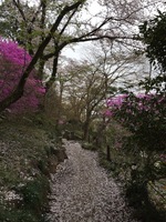 image-d8df7.jpg