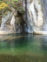image-dacb5.jpg