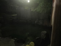 image-f73f0.jpg